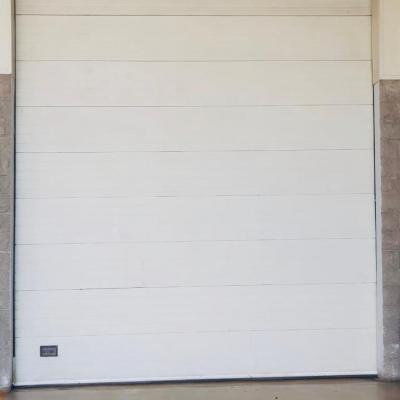 Puertas Seccionales 1